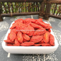 Best Goji Berries with rich Goji Berry Vitamins